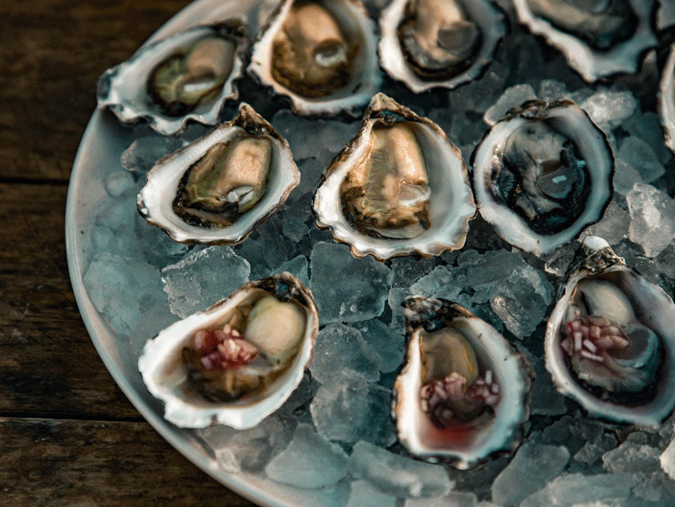 Al Natural Oyster Package Design, Oyster Packaging Design, Oyster Label Design