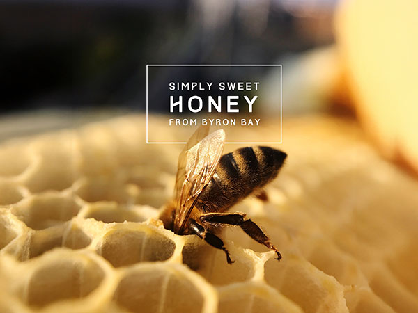 Honey Branding Design, Honey Packaging Design