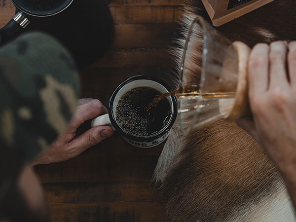 Dog and Gun - Coffee Packaging Design