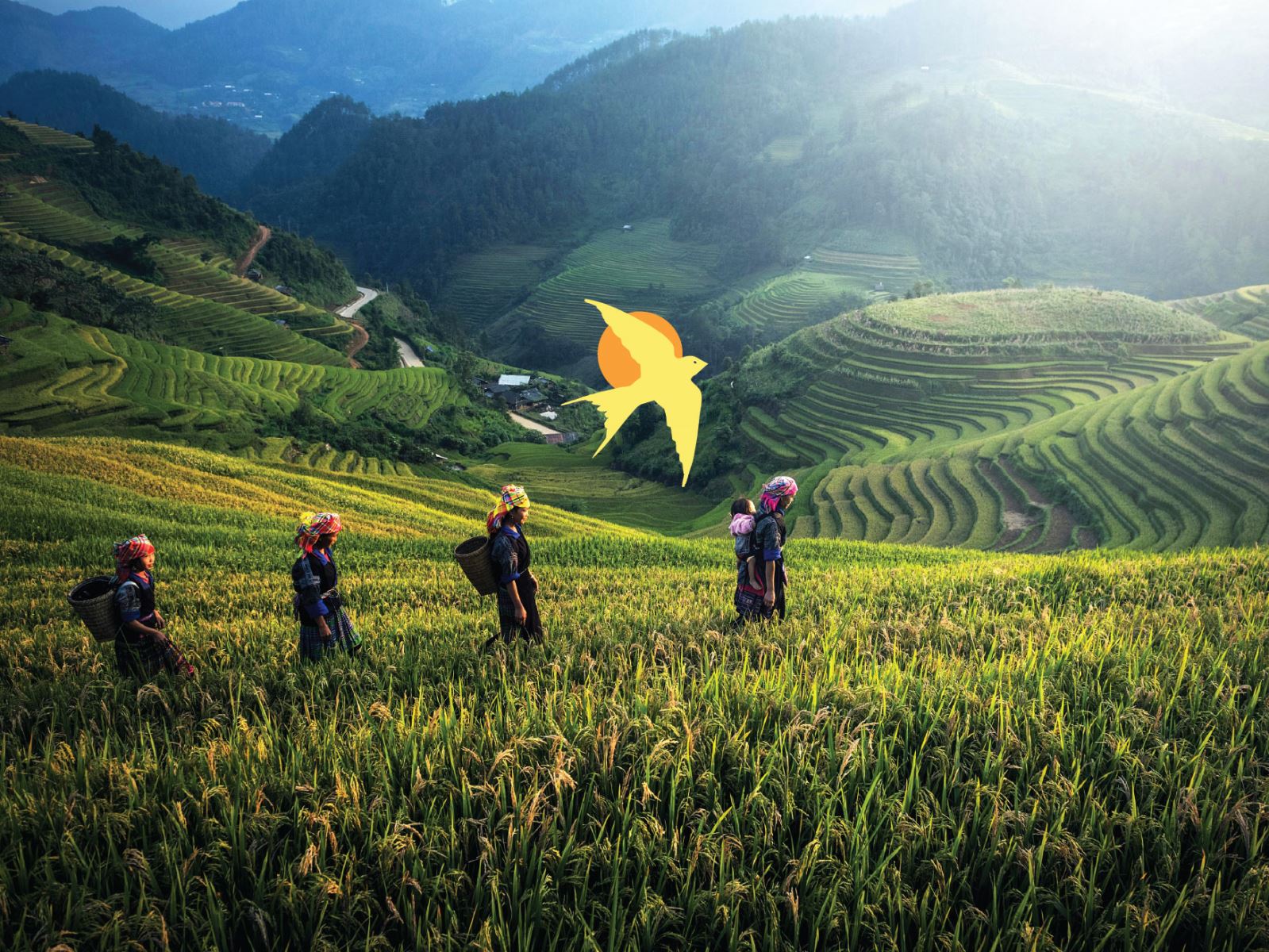 Farmers Rice Packaging Design, Rice Packaging Design Australia, Food Packaging Design, Agricultural Branding, Cultural Packaging Design, Product Packaging Design