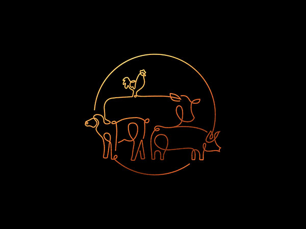 Copper Packaging Design