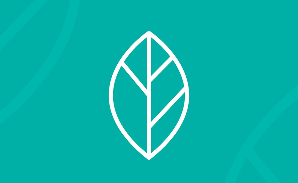 Graphic Design Australia - Teal Packaging Design