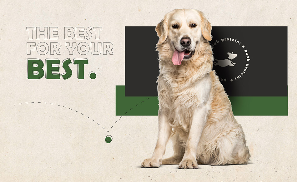 Graphic Design Australia - Pet Treats Packaging Designers