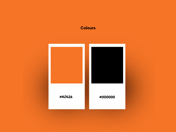 Document Delivery Package Design, Trade Directory Package Design, Mailer Box Design