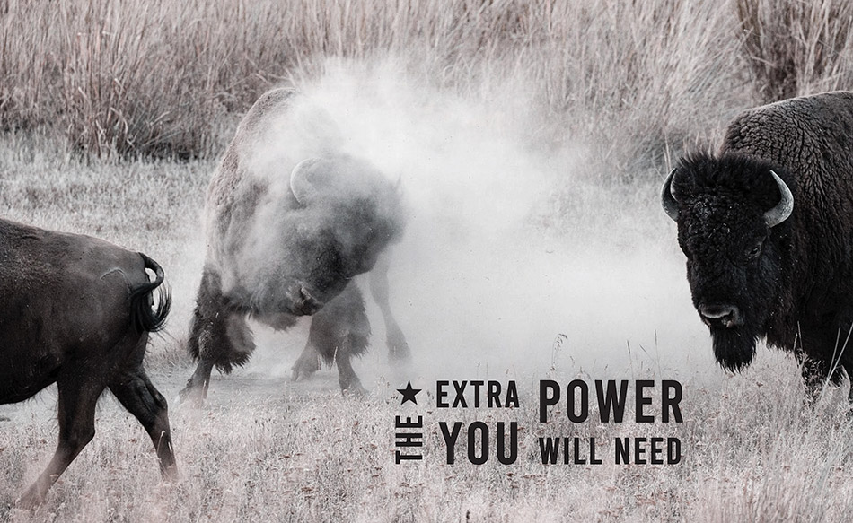 Graphic Design Australia - Protein Bar Packaging Designer